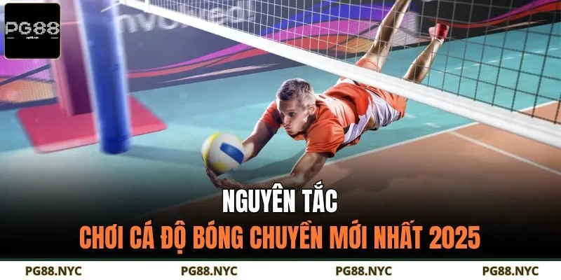 Nguyên tắc chơi cá độ bóng chuyền mới nhất 2025
