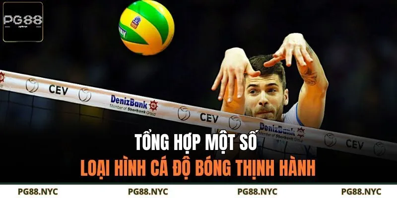 Tổng hợp một số loại hình cá độ bóng thịnh hành