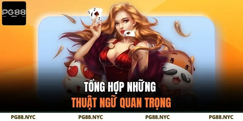 Tổng hợp những thuật ngữ quan trọng